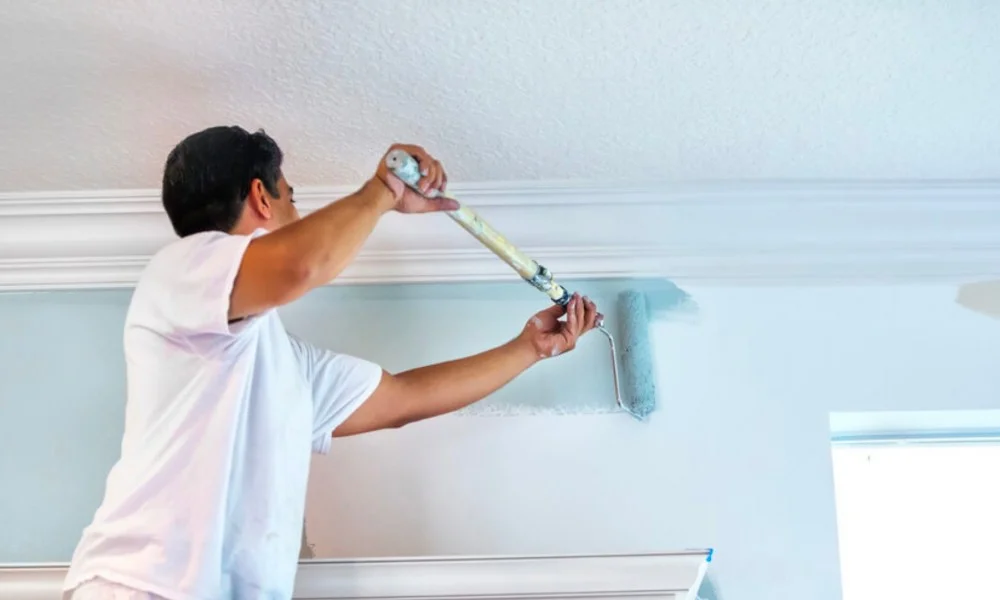 Lüleburgaz Boya Ustası